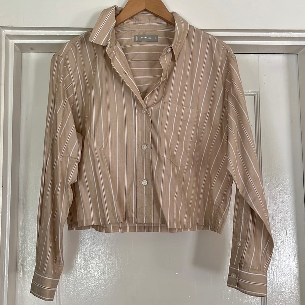 Everlane button up crop top